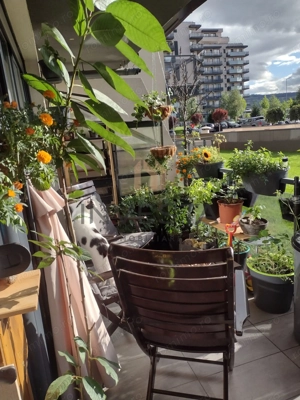 Apartament 2 camere in Sopor cu terasa de 15 metri - imagine 3