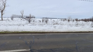 INCHIRIEZ  teren in Frumusani - imagine 2