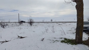 INCHIRIEZ  teren in Frumusani - imagine 6