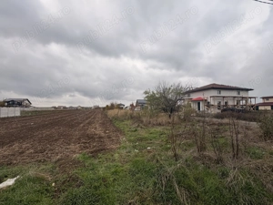 Teren intravilan Cosoba aproape Săbăreni și Joița loturi de 460 mp si 930 mp - zonă pădure - 36 e mp - imagine 4