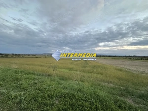 OKAZIE ! 2300 mp. Teren Intravilan Mereteu lat 22 m toate utilitatiile in fata - imagine 2