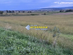 OKAZIE ! 2300 mp. Teren Intravilan Mereteu lat 22 m toate utilitatiile in fata - imagine 6