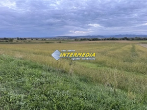 OKAZIE ! 2300 mp. Teren Intravilan Mereteu lat 22 m toate utilitatiile in fata - imagine 7