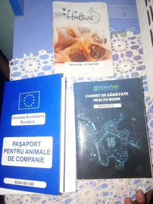 100euro mascul - imagine 2