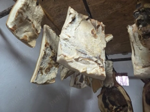 vand slănina  - imagine 2