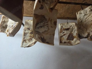 vand slănina  - imagine 3