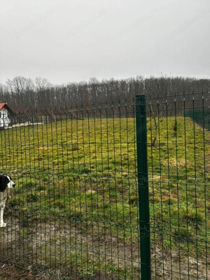 AV679 Teren intravilan, Salciua Noua, 1998 mp, IDEAL Investitie - imagine 5