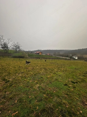 AV679 Teren intravilan, Salciua Noua, 1998 mp, IDEAL Investitie - imagine 6