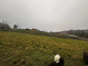 AV679 Teren intravilan, Salciua Noua, 1998 mp, IDEAL Investitie - imagine 7