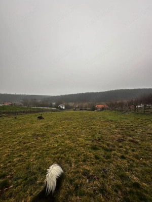 AV679 Teren intravilan, Salciua Noua, 1998 mp, IDEAL Investitie - imagine 12