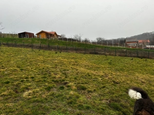 AV679 Teren intravilan, Salciua Noua, 1998 mp, IDEAL Investitie - imagine 3