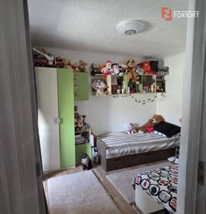 Apartament 2 camere semidecomandat, zona Iosefin  - imagine 4