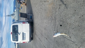 Nissan NV 200 - imagine 4