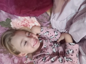 Construim case la rosu și finisaje