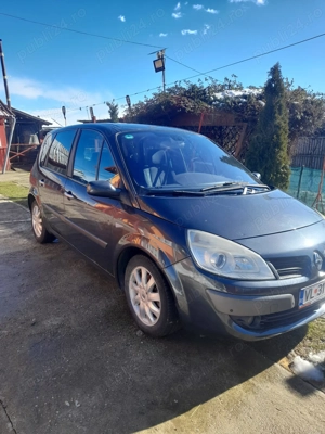 Renou șcnenic2 - imagine 3