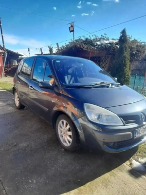 Renou șcnenic2 - imagine 5