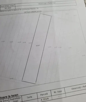 Oferta unica! Urgent vand 16 ha teren agricol extravilan in arenda in Negru Voda cu 8900 euro ha ! - imagine 2