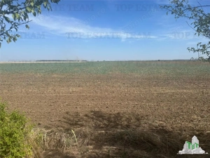 Vanzare teren intravilan construibil, Branesti-Ilfov, 5000 mp, ideal rezidenta sau investitie