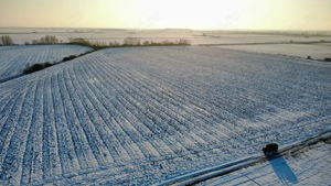 INCONTRO- teren industrial- oportunitate investitie- 17800mp - imagine 8