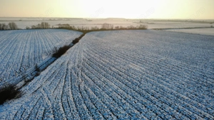 INCONTRO- teren industrial- oportunitate investitie- 17800mp - imagine 9