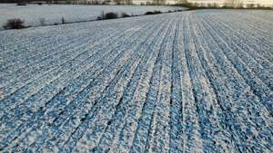 INCONTRO- teren industrial- oportunitate investitie- 17800mp - imagine 4