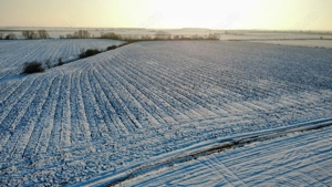 INCONTRO- teren industrial- oportunitate investitie- 17800mp - imagine 6