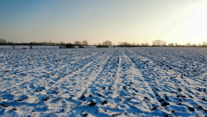 INCONTRO- teren industrial- oportunitate investitie- 17800mp - imagine 3