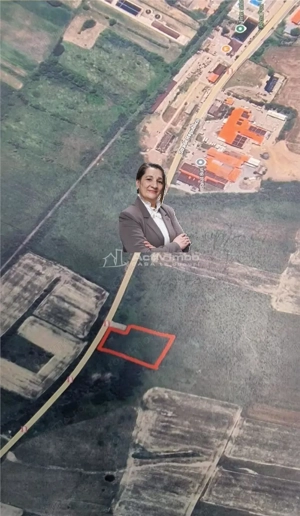 Bocsa 2 terenuri intravilane 1500 Mp(15 000 Euro) si 3000 Mp.(29.000 Euro) la Drumul National.