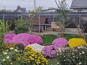 Casă nouă de vânzare în Horia, jud. Neamț la 5 minute de Orașul Roman - imagine 4