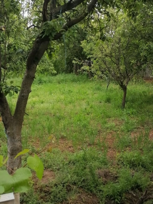 vand casa Bugeac,com Ostrov,jud Constanta 70.000 lei  - imagine 3