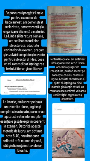 Materiale pentru bac sintetizate (Română,Istorie și Geografie ) PDF