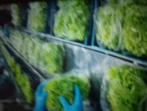 Avem.nevoie urgenta de persoane