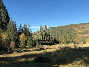 Parcele de 500 mp in intravilanul Galbena, AB - Arieseni - imagine 3