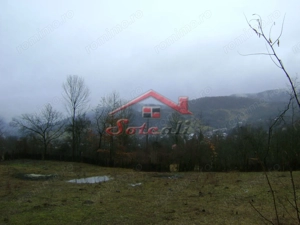 Teren de vanzare in Provita de jos - imagine 8