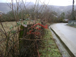 Teren de vanzare in Provita de jos - imagine 5