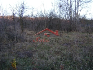 Teren de vanzare Cornu de Jos - imagine 3