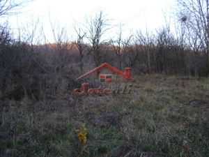 Teren de vanzare Cornu de Jos - imagine 4