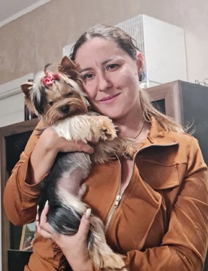 ofer servicii de pet sitter