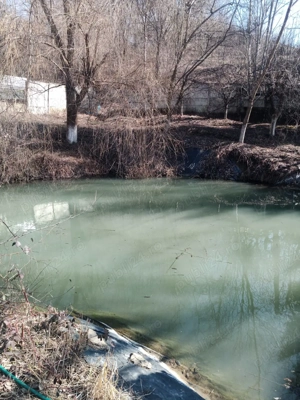 De Vanzare ! - imagine 7