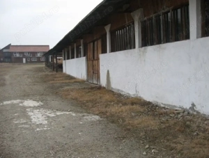 Patarlagele, fosta fabrica cherestea, 8500mp cc, Buzau - imagine 7