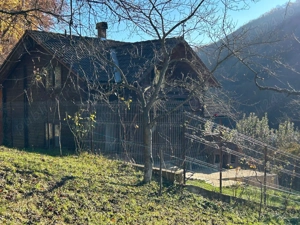Casa de vacanta cu padure si livada - imagine 3
