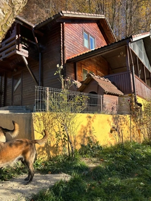 Casa de vacanta cu padure si livada