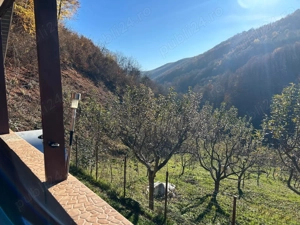 Casa de vacanta cu padure si livada - imagine 8