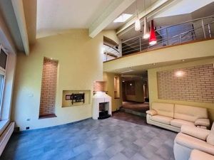 SUPER PROPIETATE LA PADURE ROSU, vila superba 709 mp, 1213 mp teren, piscina ! - imagine 8