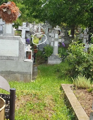 Loc de veci Cimitir Dămăroaia, București - imagine 2