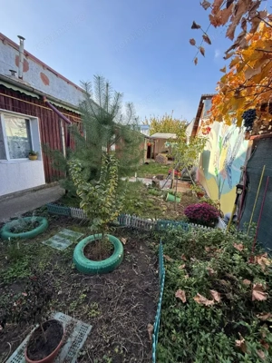 Casa de vanzare Zona Arcasilor P+M - imagine 7