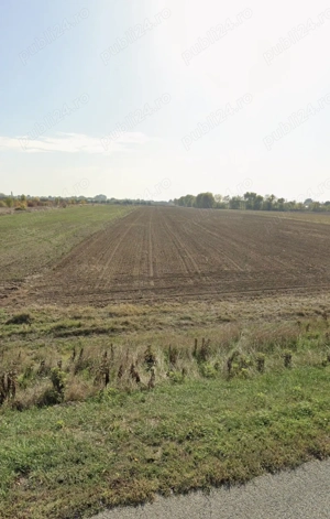 Teren Slătioara DN65 - imagine 2