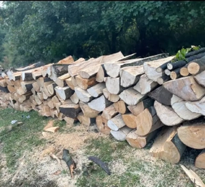 vand lemne de foc esenta tare 240 lei metru