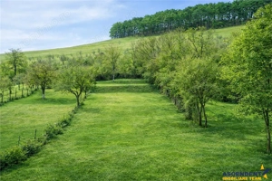 Cocheta casa renovata+vila spatioasa, domeniu de 1.500mp,Sanpetru,Brasov - imagine 3