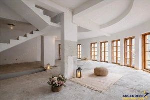 Cocheta casa renovata+vila spatioasa, domeniu de 1.500mp,Sanpetru,Brasov - imagine 7